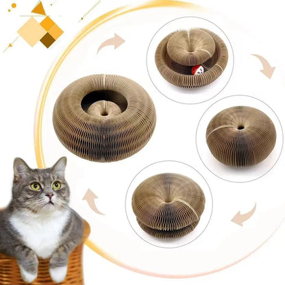 Magic Interactive Cat Toy – Scratch, Play & Relax